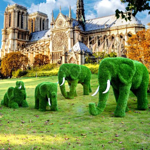大型户外绿植假草皮大象雕塑